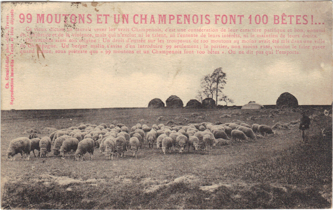Carte postale ancienne 99 moutons et un champenois font 100 bêtes